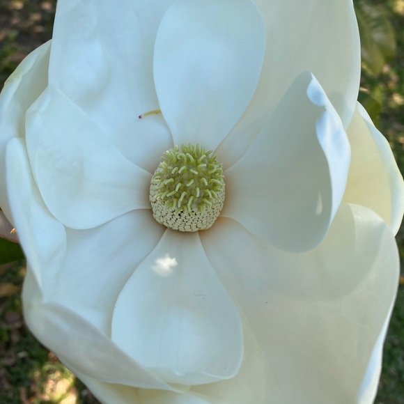 Meet your Posher, Erika - Picture 2 of 4